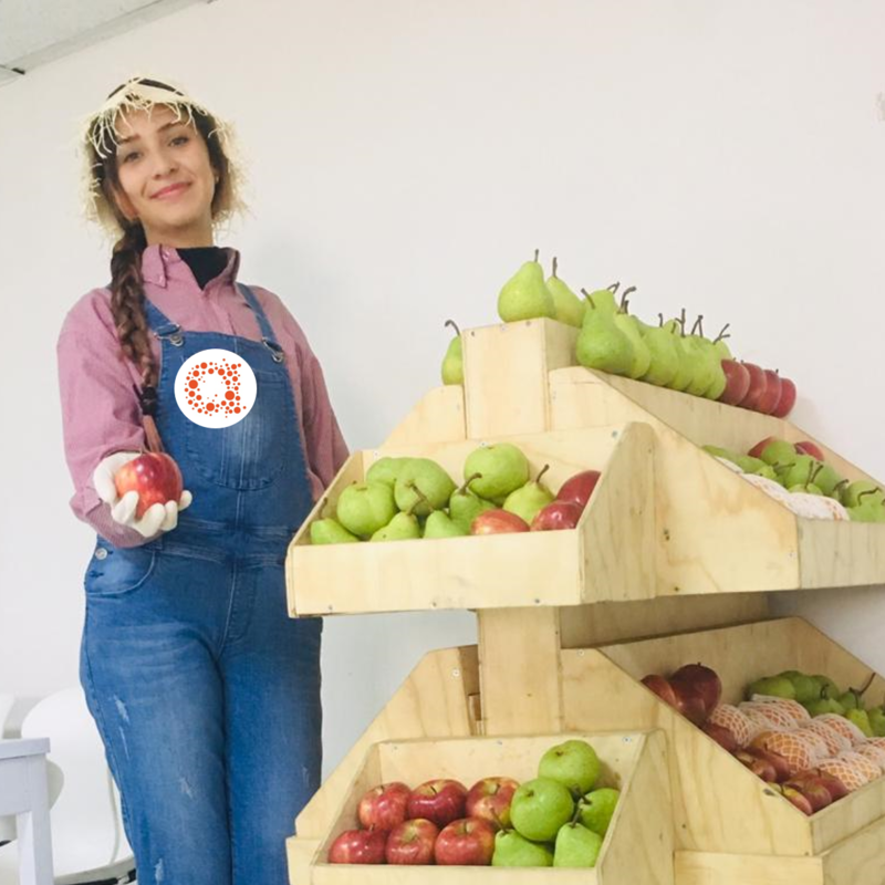 Operadores logísticos caracterizados Bravo