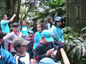 Salidas pedagógicas Bravo SAS